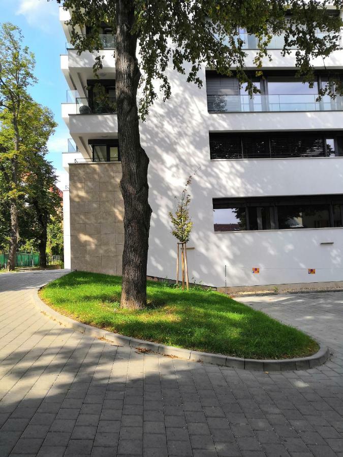 Cosy Design Iv * Brno
